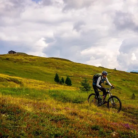Apartament Zum Landarzt Neustift im Stubaital